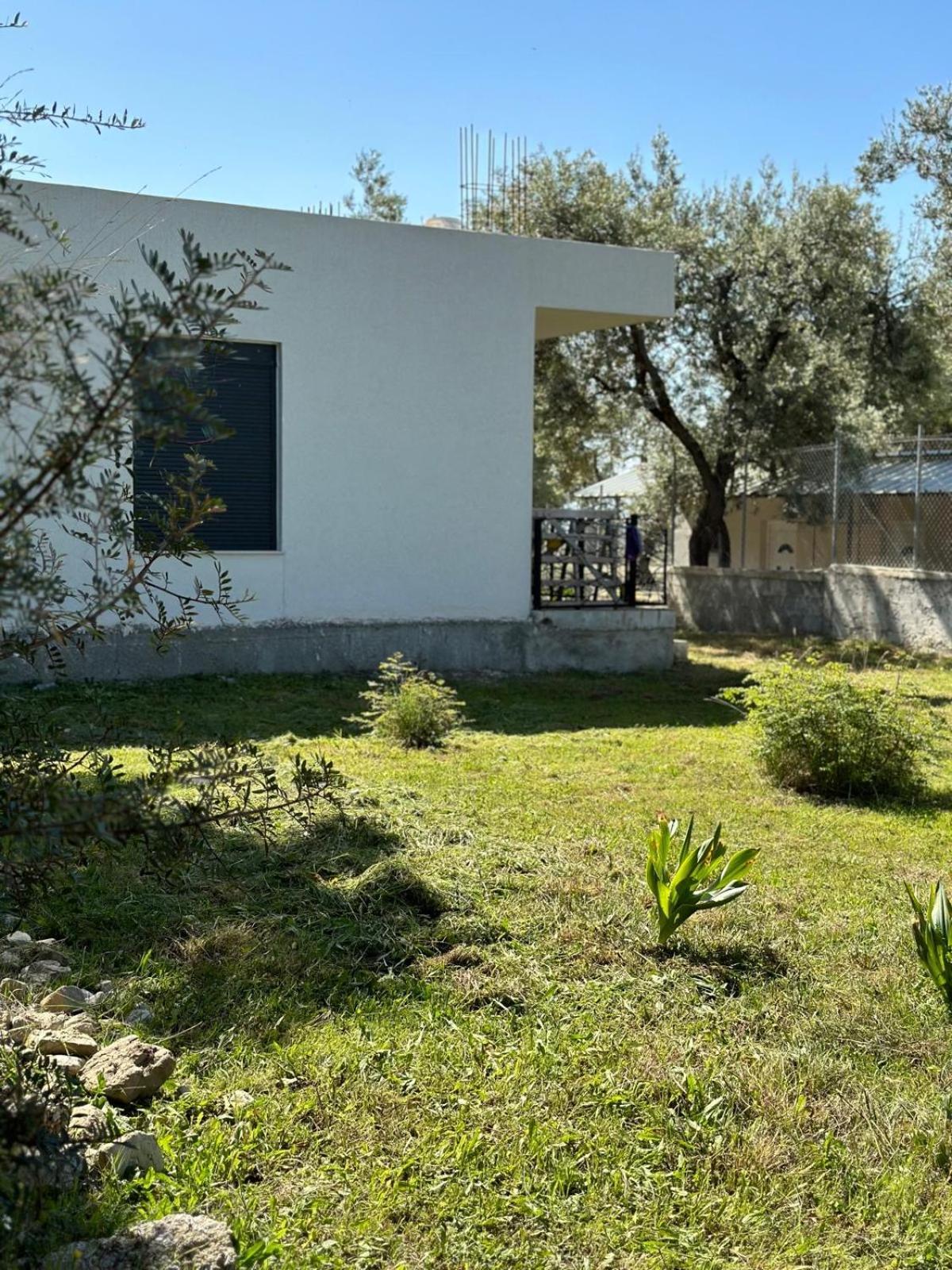 Shega Apartment